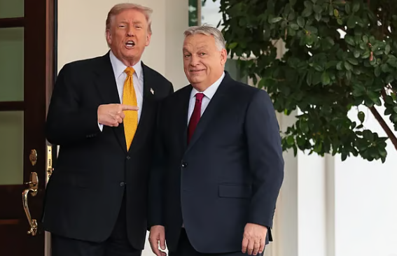 Screenshot 2025-11-08 121630