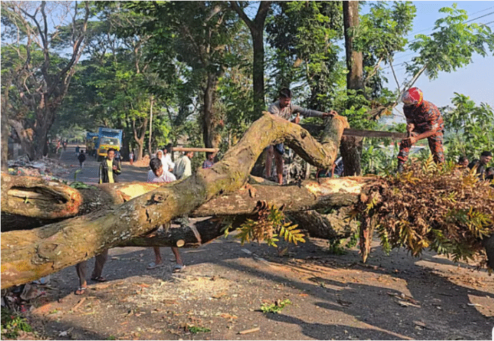 মাদারীপুরে সন্ত্রাসবিরোধী আইনে আওয়ামী লীগের ৫০ জনের নামে মামলা, গ্রেপ্তার ১